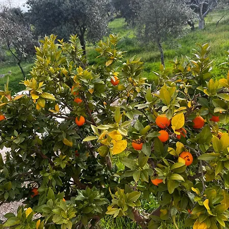 Casa Della Felicita