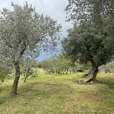 Casa Della Felicita Holiday home