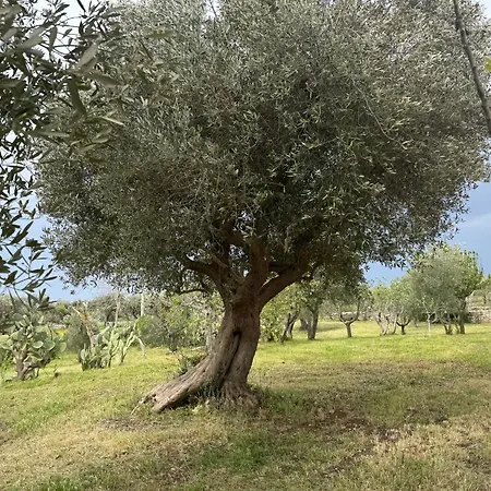 Casa Della Felicita Holiday home Castellana Grotte